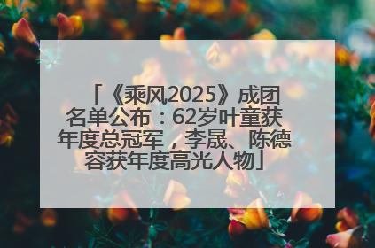 《乘风2025》成团名单公布：62岁叶童获年度总冠军，李晟、陈德容获年度高光人物