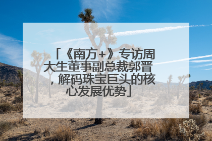 《南方+》专访周大生董事副总裁郭晋，解码珠宝巨头的核心发展优势