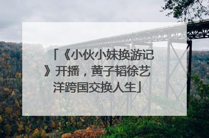 《小伙小妹换游记》开播，黄子韬徐艺洋跨国交换人生