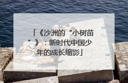 《沙洲的“小树苗”》：新时代中国少年的成长缩影
