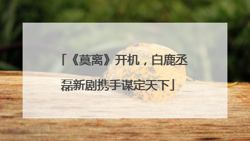 《莫离》开机，白鹿丞磊新剧携手谋定天下