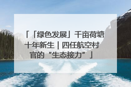 「绿色发展」千亩荷塘 十年新生｜四任航空村官的“生态接力”