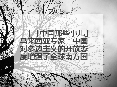「中国那些事儿」马来西亚专家：中国对多边主义的开放态度增强了全球南方国家的力量