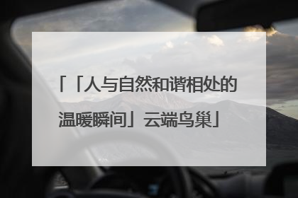 「人与自然和谐相处的温暖瞬间」云端鸟巢