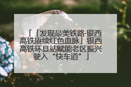 「发现最美铁路·银西高铁赓续红色血脉」银西高铁环县站赋能老区振兴驶入“快车道”