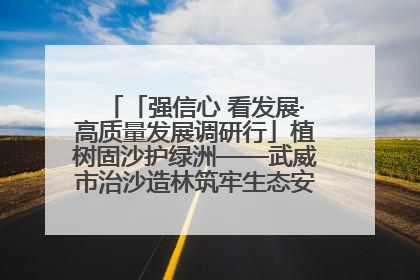 「强信心 看发展·高质量发展调研行」植树固沙护绿洲——武威市治沙造林筑牢生态安全屏障见闻