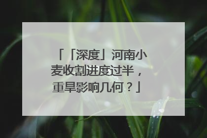 「深度」河南小麦收割进度过半，重旱影响几何？