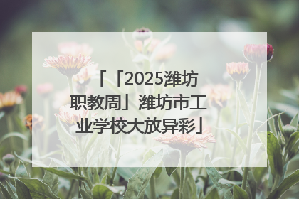 「2025潍坊职教周」潍坊市工业学校大放异彩