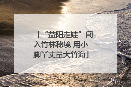 “益阳走娃”闯入竹林秘境 用小脚丫丈量大竹海