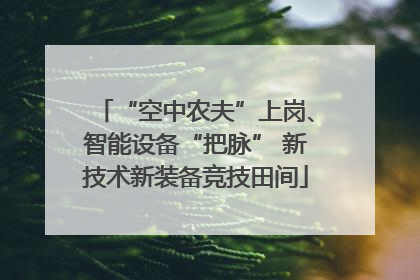 “空中农夫”上岗、智能设备“把脉” 新技术新装备竞技田间