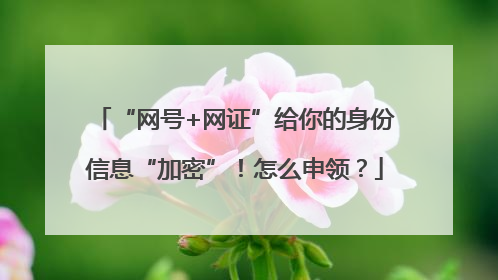 “网号+网证”给你的身份信息“加密”！怎么申领？