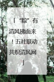 “粽”有清风拂面来！五社联动共织清风网