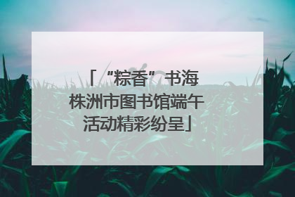 “粽香”书海 株洲市图书馆端午活动精彩纷呈