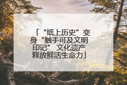 “纸上历史”变身“触手可及文明印记” 文化遗产释放鲜活生命力