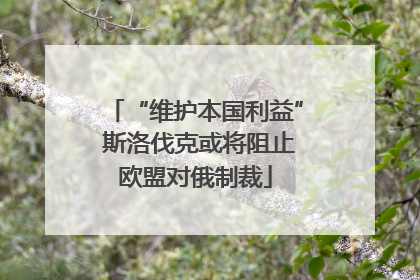 “维护本国利益” 斯洛伐克或将阻止欧盟对俄制裁