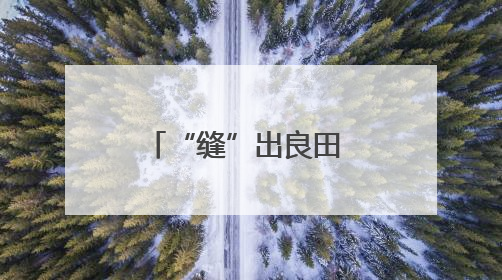 “缝”出良田 “锈”出新景——洪江土地活用记