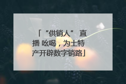 “供销人” 直播 吆喝，为土特产开辟数字销路