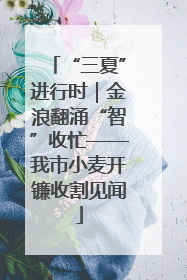 “三夏”进行时｜金浪翻涌“智”收忙——我市小麦开镰收割见闻