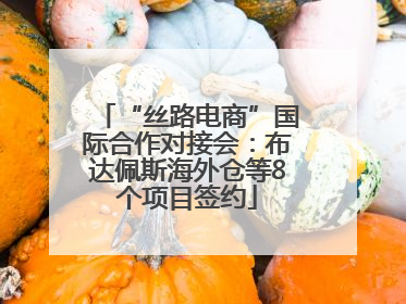 “丝路电商”国际合作对接会：布达佩斯海外仓等8个项目签约