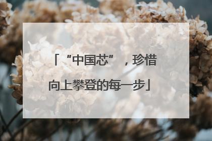 “中国芯”，珍惜向上攀登的每一步