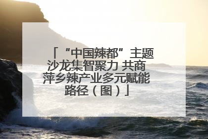 “中国辣都”主题沙龙集智聚力 共商萍乡辣产业多元赋能路径（图）