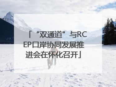 “双通道”与RCEP口岸协同发展推进会在怀化召开