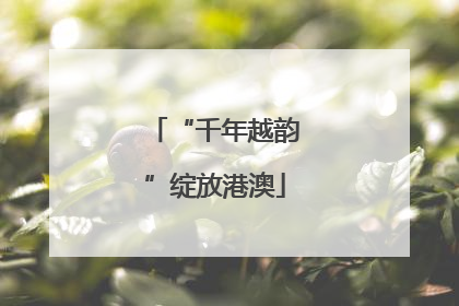 “千年越韵”绽放港澳