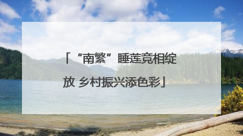 “南繁”睡莲竞相绽放 乡村振兴添色彩