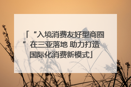 “入境消费友好型商圈”在三亚落地 助力打造国际化消费新模式