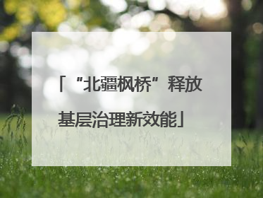 “北疆枫桥”释放基层治理新效能