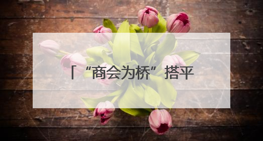 “商会为桥”搭平台汇资源，促连山特色资源“走出去”