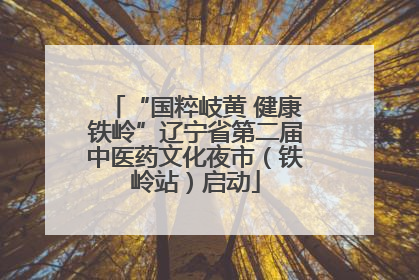 “国粹岐黄 健康铁岭”辽宁省第二届中医药文化夜市（铁岭站）启动