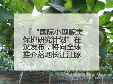 “国际小型鲸类保护研究计划”在汉发布，将向全球推介落地长江江豚保护经验
