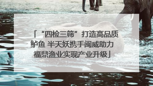 “四检三筛”打造高品质鲈鱼 半天妖携手闽威助力福鼎渔业实现产业升级