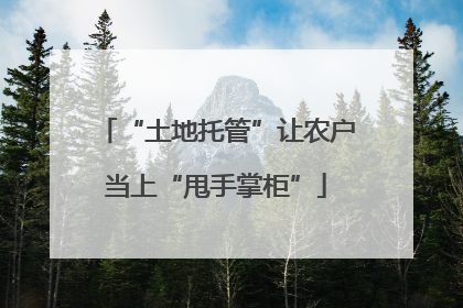 “土地托管”让农户当上“甩手掌柜”