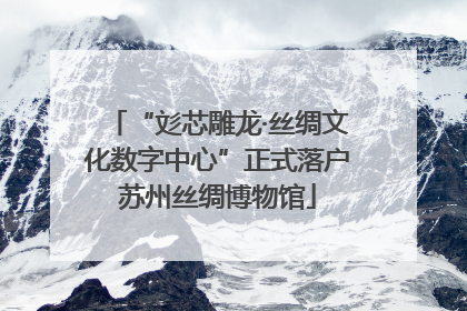 “彣芯雕龙·丝绸文化数字中心”正式落户苏州丝绸博物馆