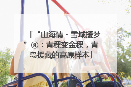 “山海情・雪域援梦”⑧：青稞变金稞，青岛援藏的高原样本