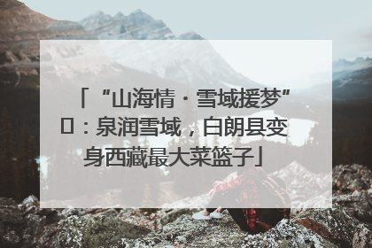 “山海情・雪域援梦”⑪：泉润雪域，白朗县变身西藏最大菜篮子