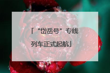 “岱岳号”专线列车正式起航