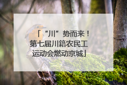 “川”势而来！第七届川籍农民工运动会燃动京城