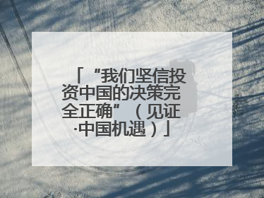 “我们坚信投资中国的决策完全正确”（见证·中国机遇）