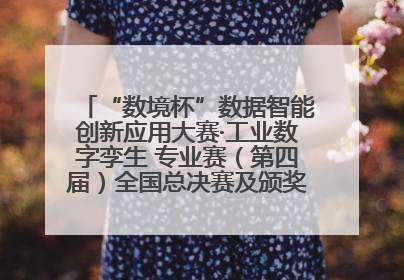 “数境杯”数据智能创新应用大赛·工业数字孪生 专业赛（第四届）全国总决赛及颁奖典礼成功举办