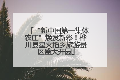 “新中国第一集体农庄”焕发新彩！桦川县星火稻乡旅游景区盛大开园