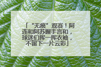 “无痕”观赛！阿连和阿苏握手言和，球迷们挥一挥衣袖，不留下一片云彩