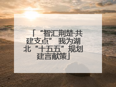“智汇荆楚·共建支点” 我为湖北“十五五”规划建言献策