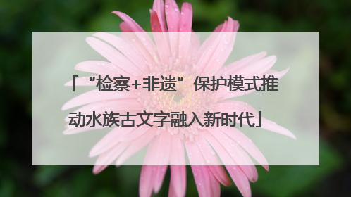 “检察+非遗”保护模式推动水族古文字融入新时代