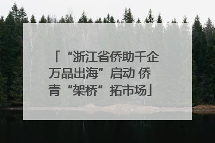 “浙江省侨助千企万品出海”启动 侨青“架桥”拓市场