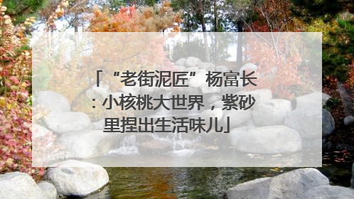 “老街泥匠”杨富长：小核桃大世界，紫砂里捏出生活味儿