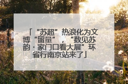 “苏超”热浪化为文博“留量”，“数见苏韵・家门口看大展”环省行南京站来了
