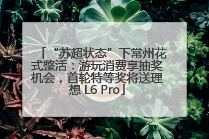“苏超状态”下常州花式整活：游玩消费享抽奖机会，首轮特等奖将送理想 L6 Pro